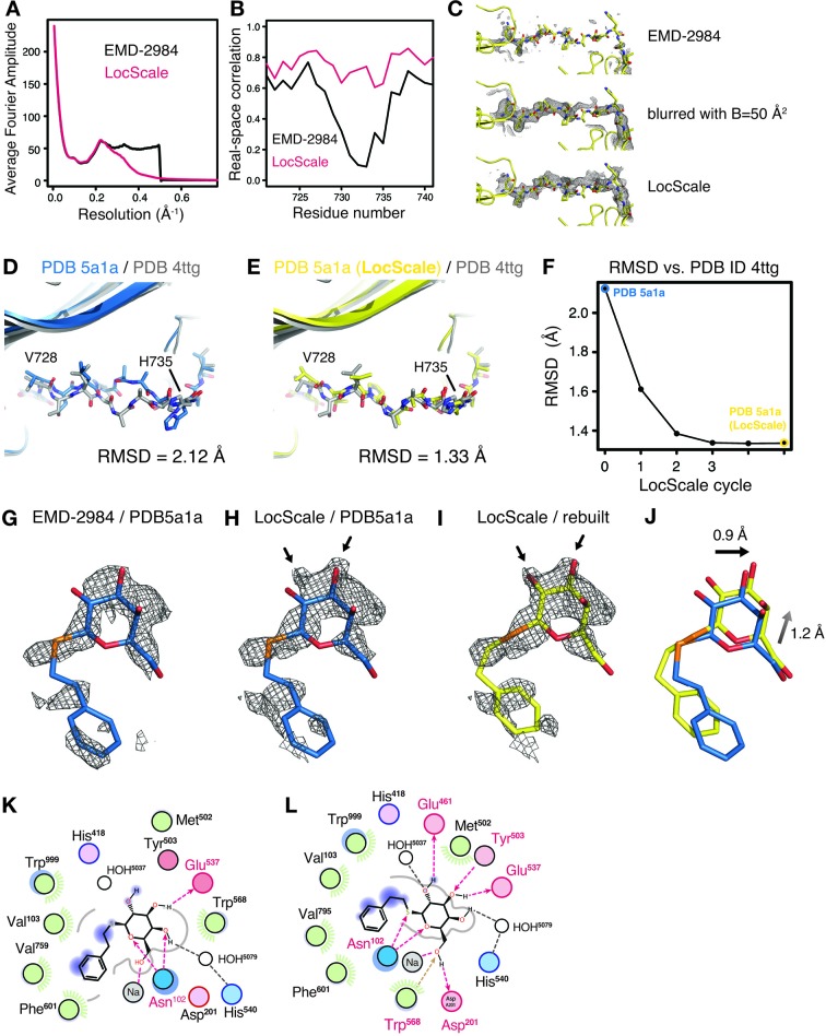 Figure 5—figure supplement 1.