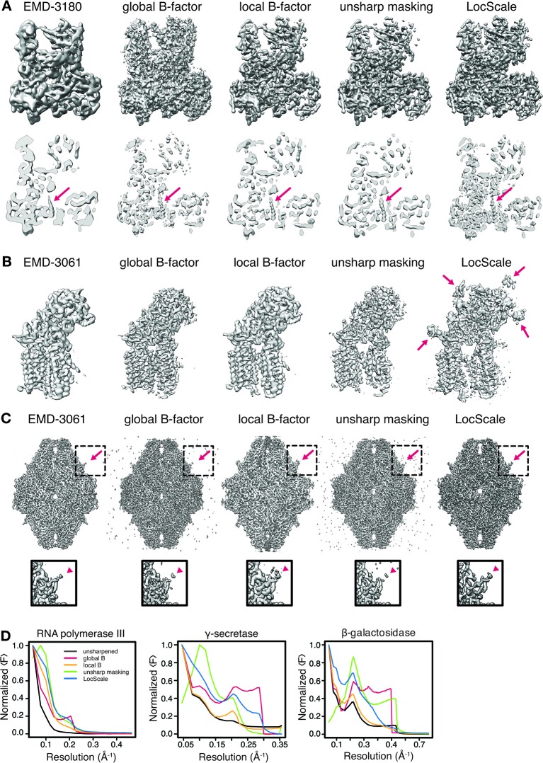 Figure 2—figure supplement 2.