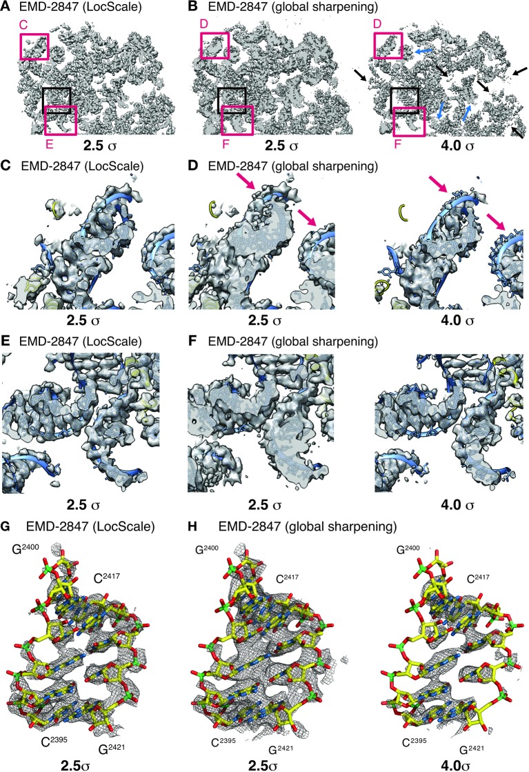 Figure 6.