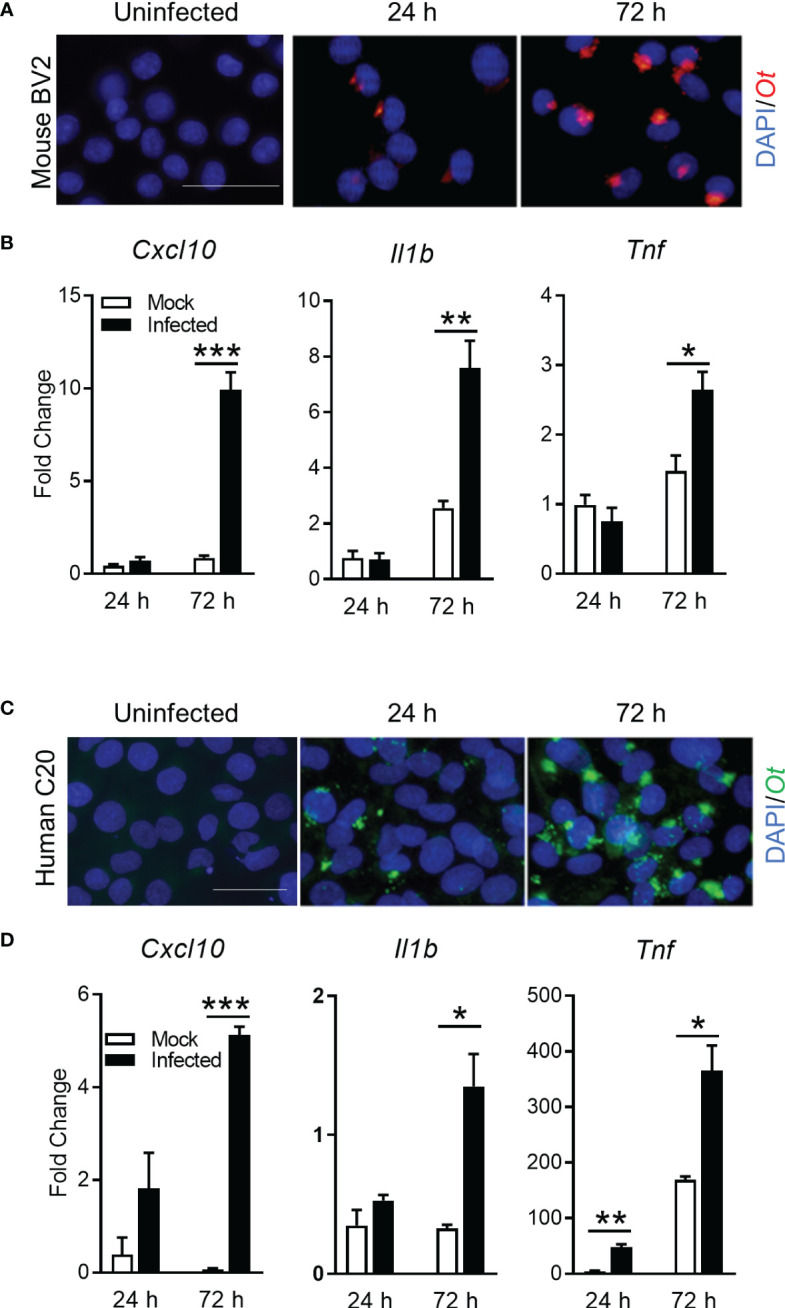 Figure 6