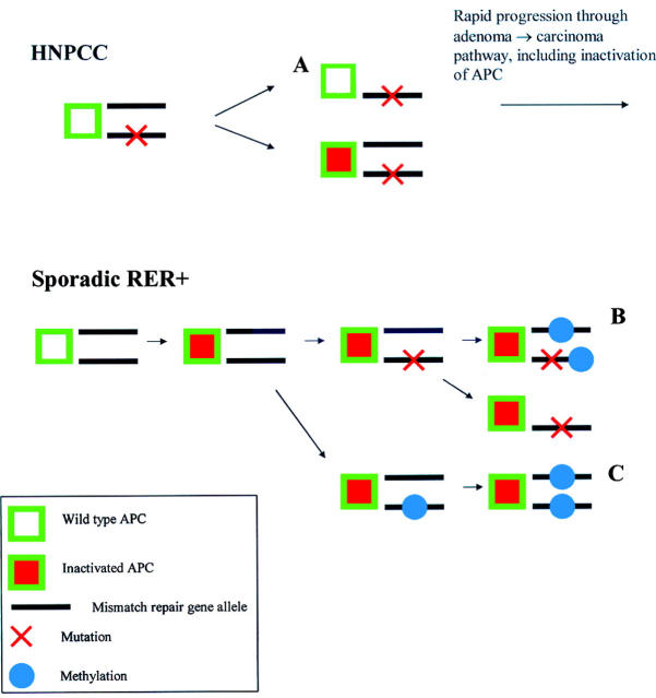 Figure 3  