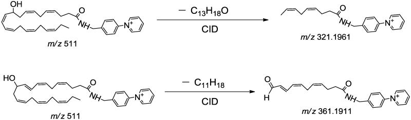 Scheme 3