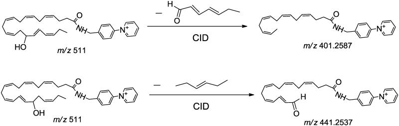 Scheme 2