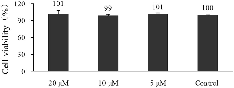 Fig. 1