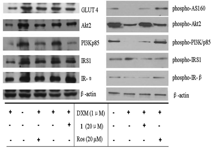 Fig. 7