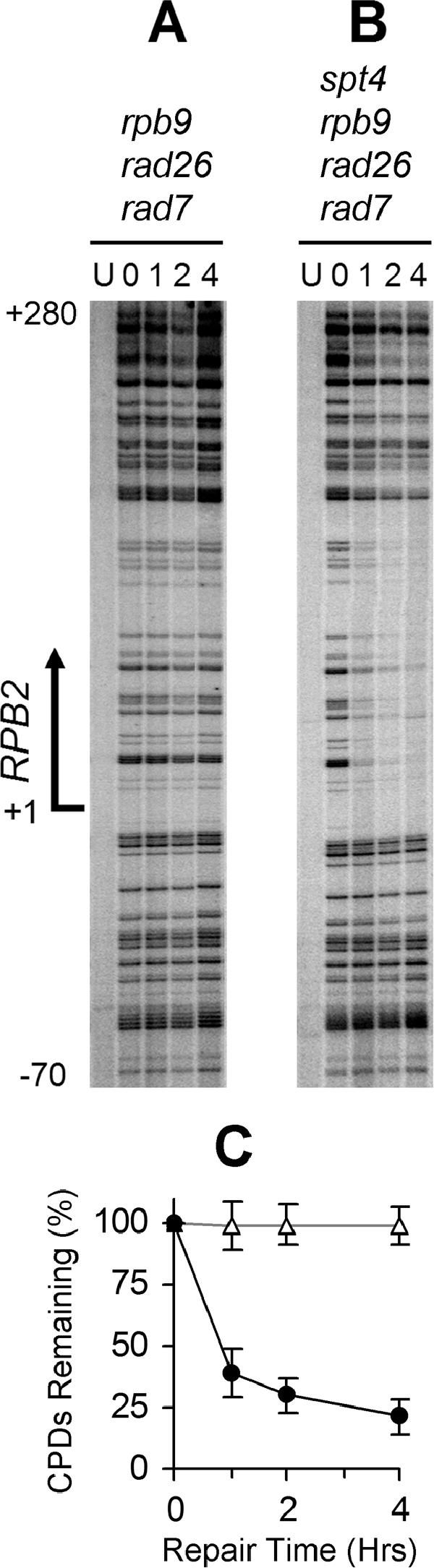 FIG. 7.