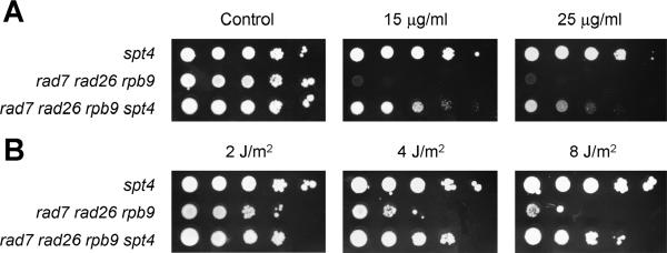 FIG. 8.