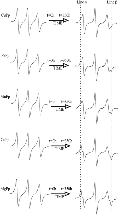 Fig. 6