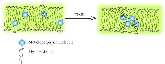 Fig. 8