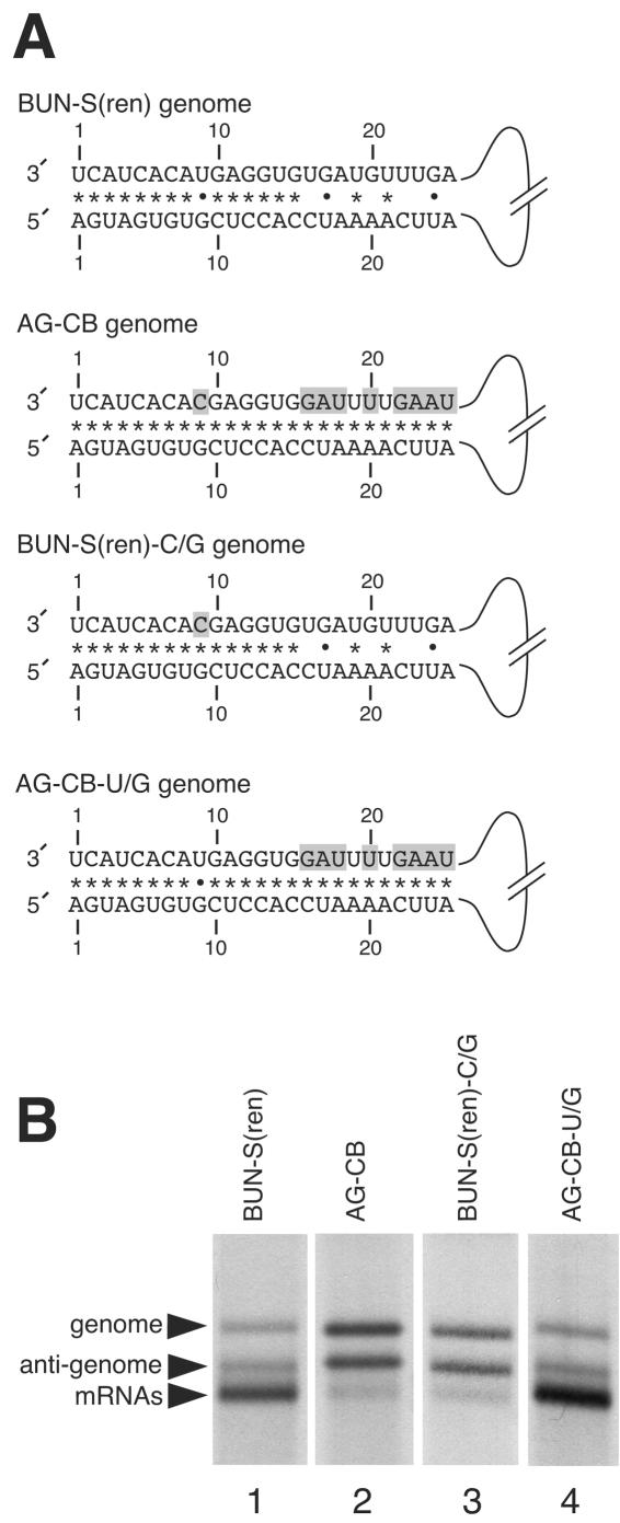 FIG. 3.