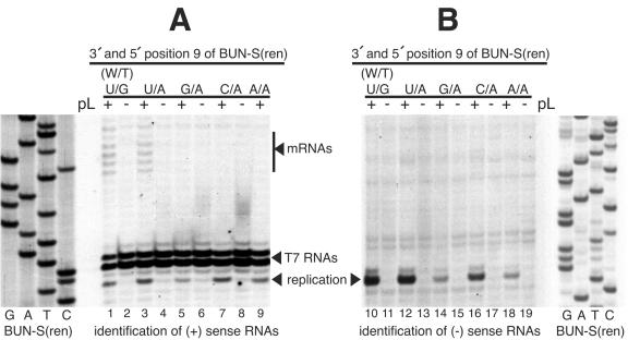 FIG. 5.