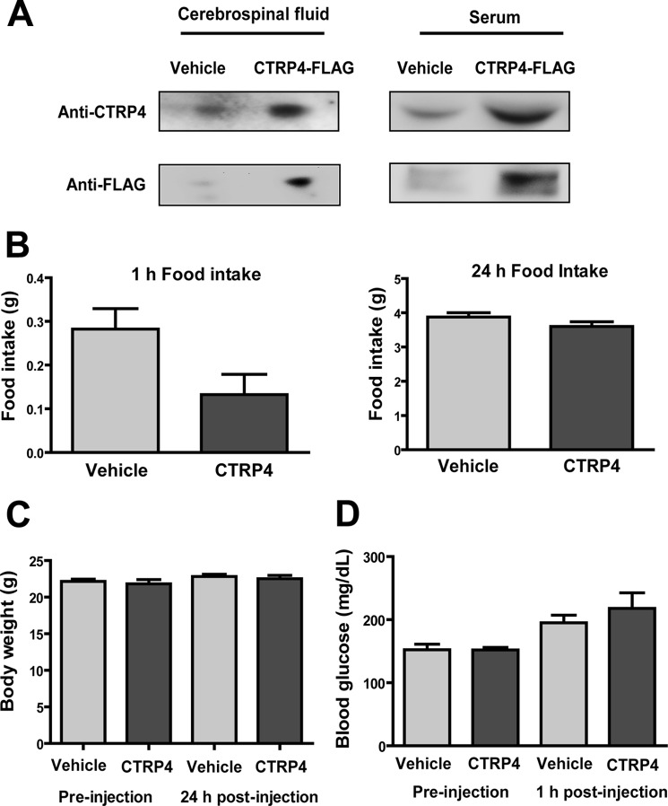 FIGURE 12.