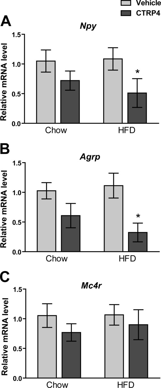 FIGURE 11.