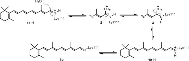 Scheme 3