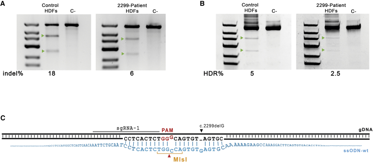 Figure 4