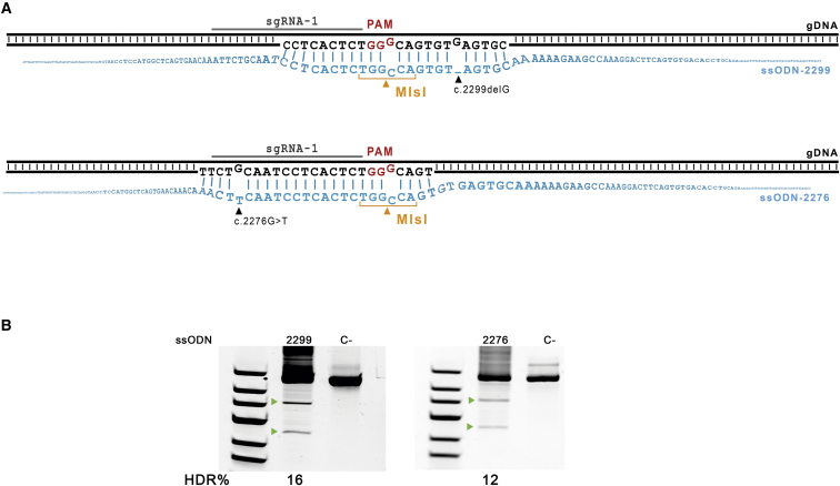 Figure 3