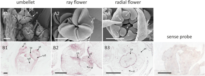 Fig. 10