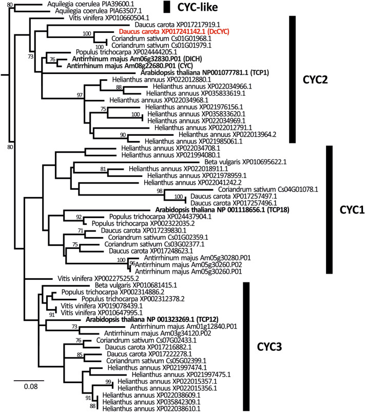 Fig. 8
