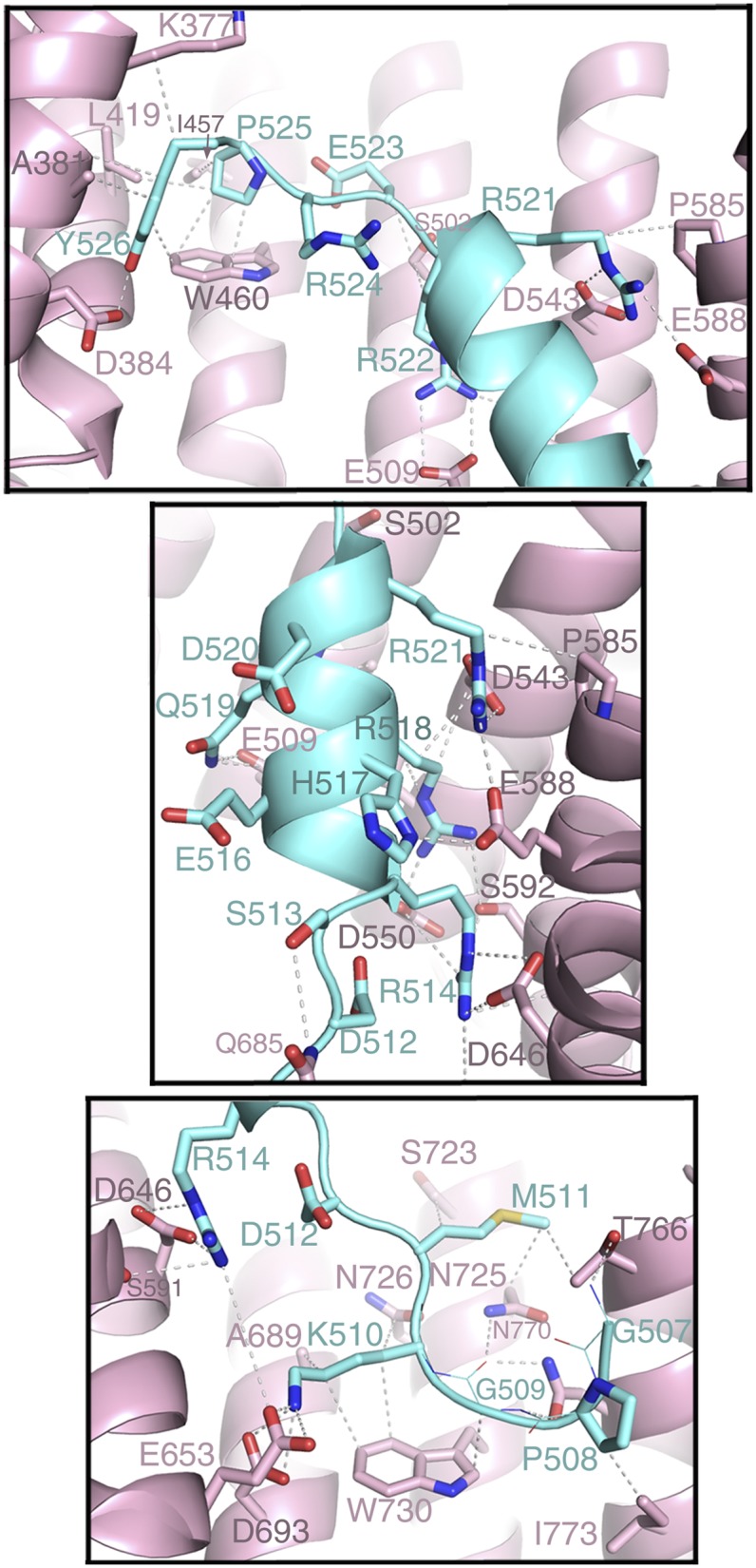 Fig. 3.