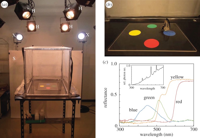 Figure 1.