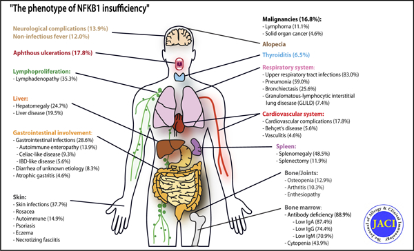 graphic file with name nihms-1709274-f0001.jpg