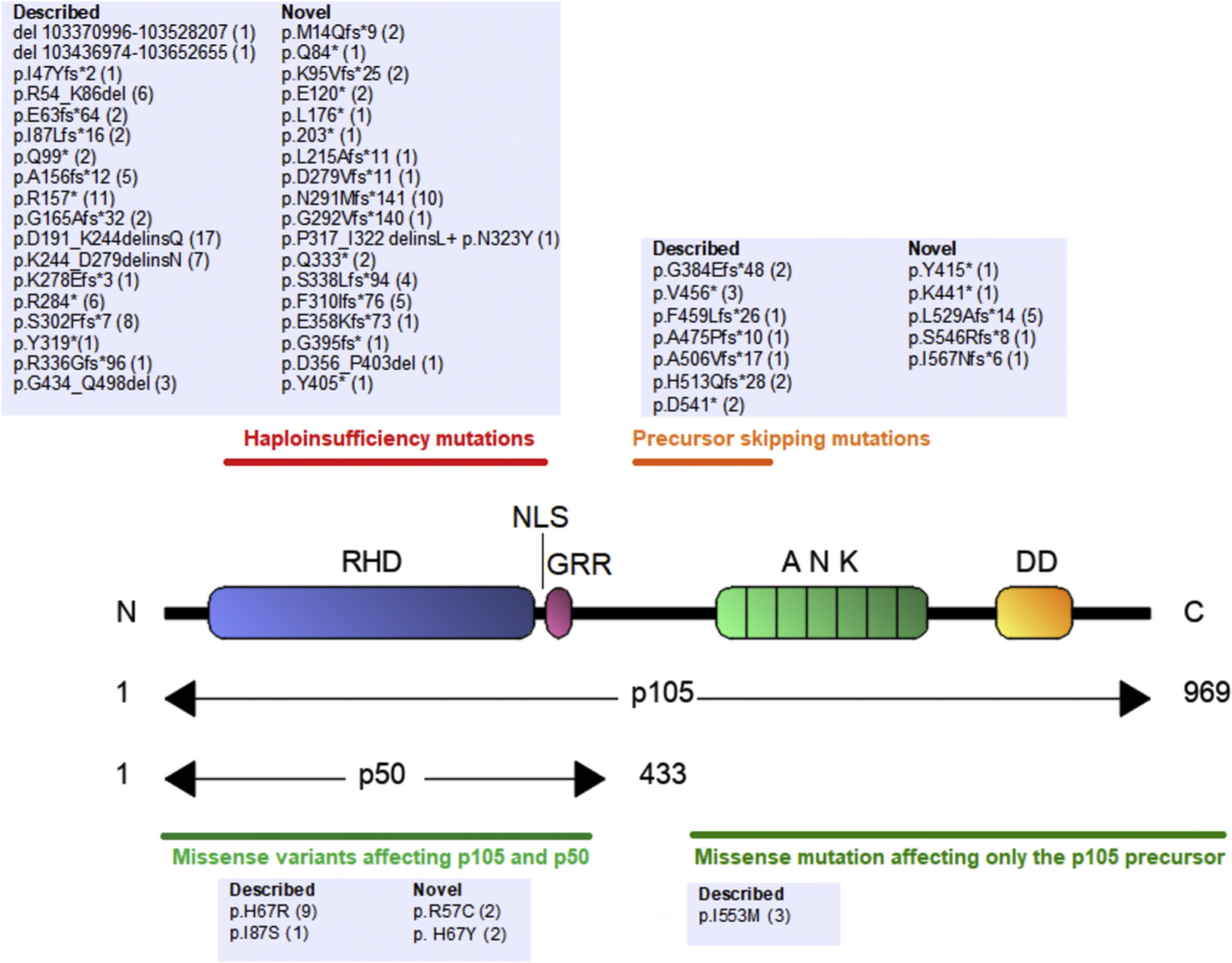 FIG 1.