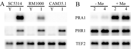 FIG. 5.