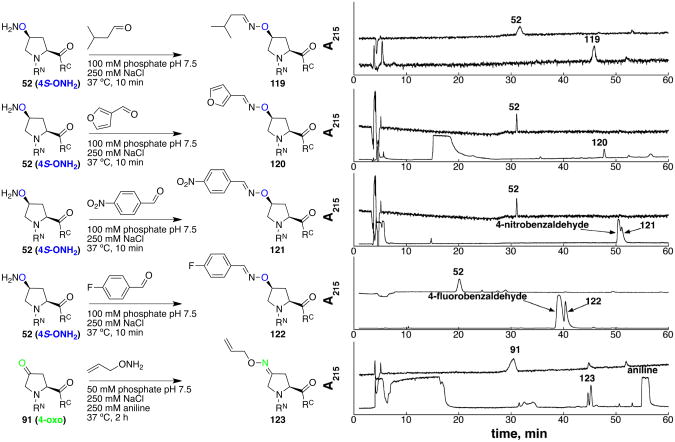 Scheme 20