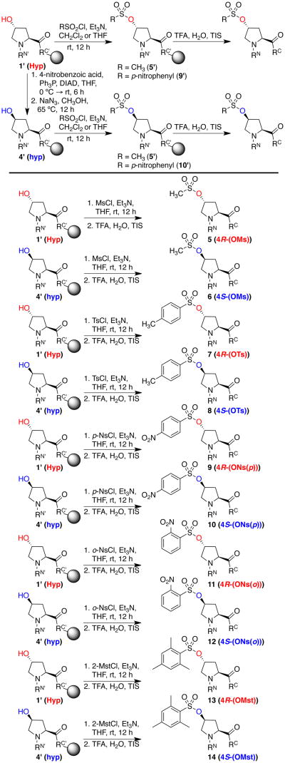 Scheme 7