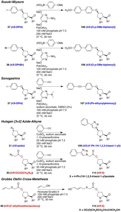 Scheme 18