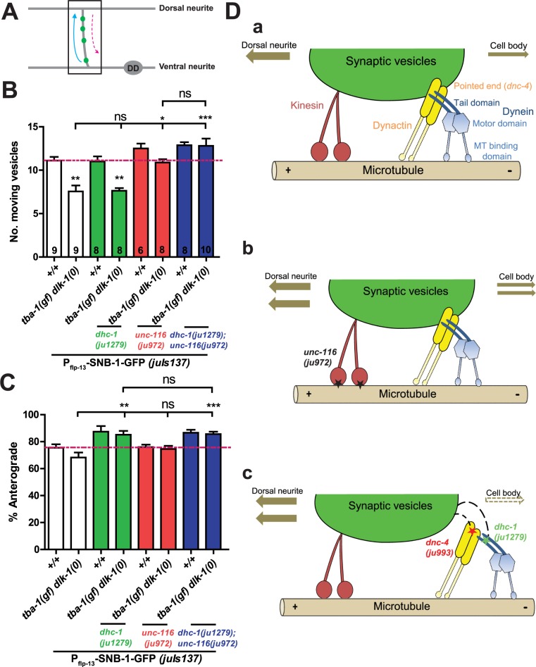 Fig 3