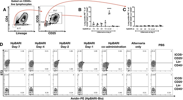 Figure 5—figure supplement 1.