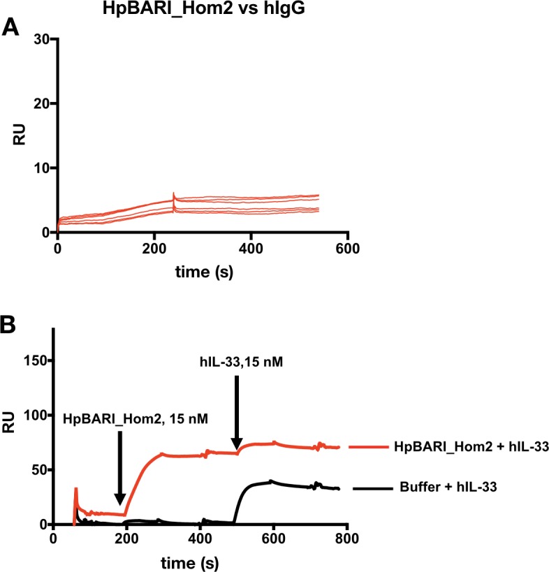 Figure 8—figure supplement 2.