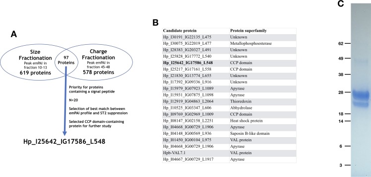 Figure 2—figure supplement 1.