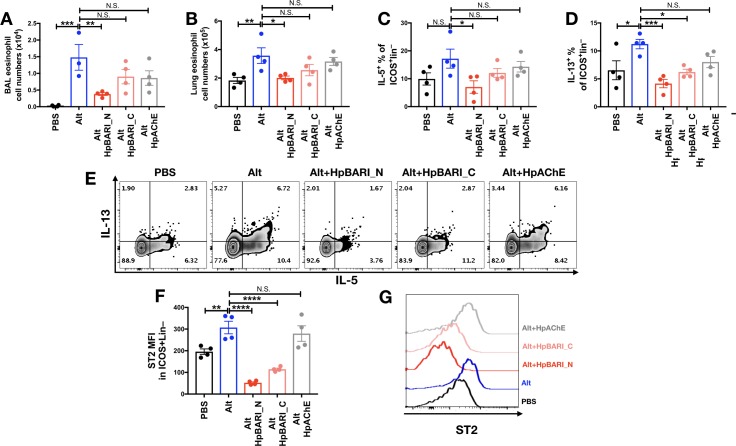 Figure 3—figure supplement 1.