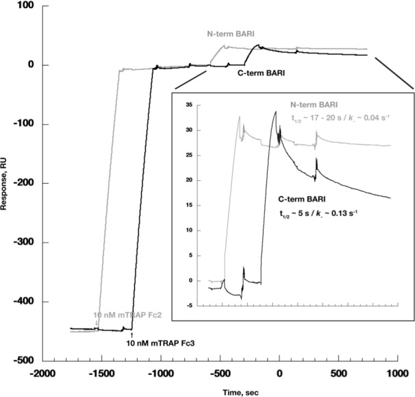 Figure 7—figure supplement 2.