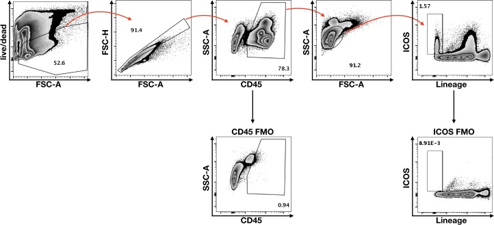 Figure 3—figure supplement 2.