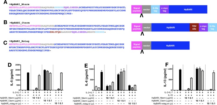 Figure 2—figure supplement 3.