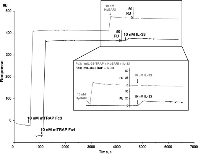 Figure 7—figure supplement 3.