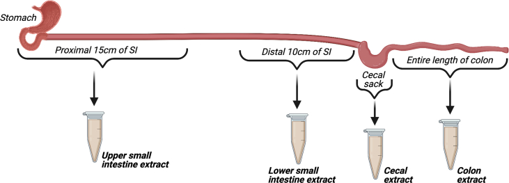 Supplemental Figure 1