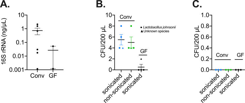 Supplemental Figure 4