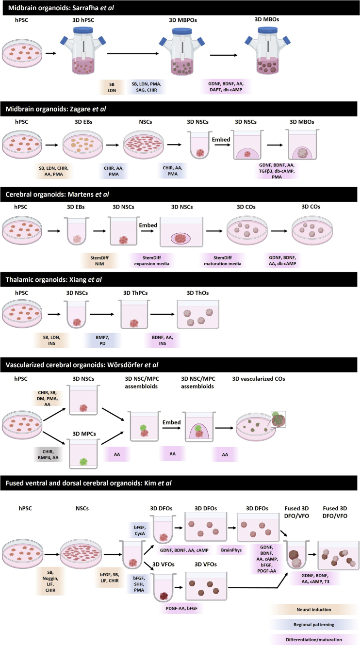 Figure 1