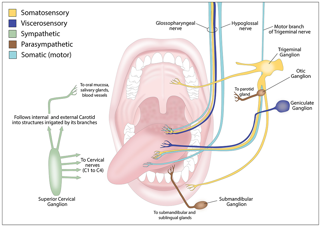 Figure 1: