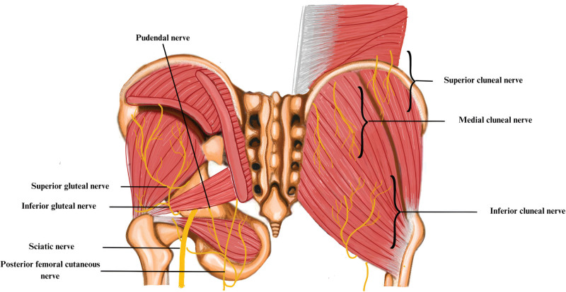 Figure 7.