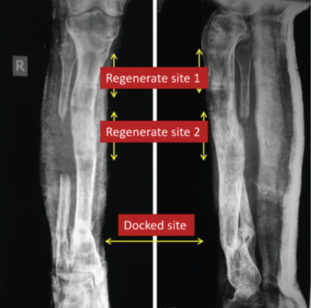 Fig. 6: