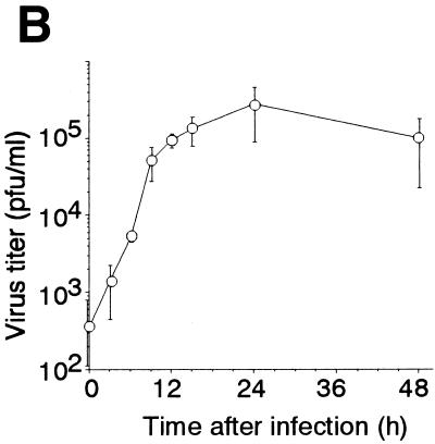 FIG. 1