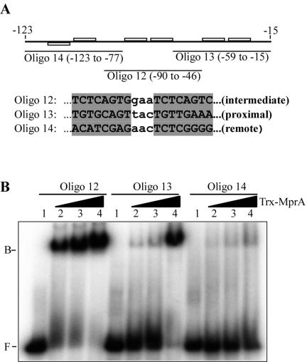 FIG. 5.