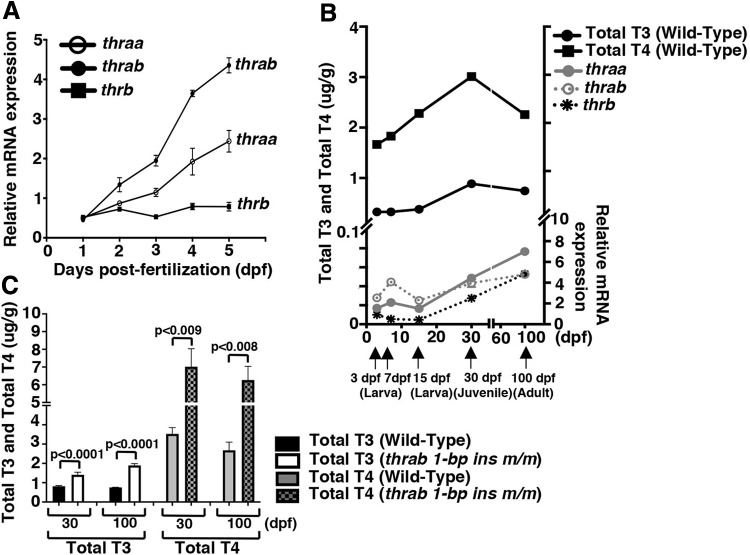 FIG. 7.