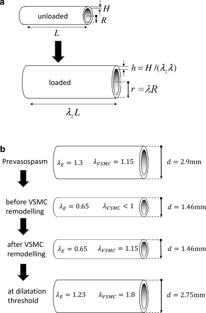 Figure 1: