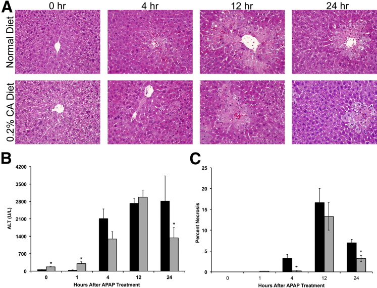 Figure 4